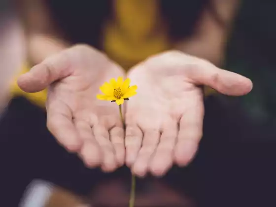 Fim de Semana de Mestrado em Reiki
