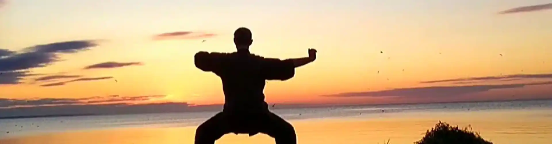 1 hora de Qigong com 8 brocados de seda